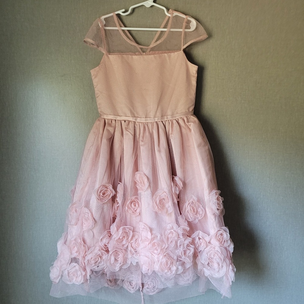 Nannette Kids Girls Size 10 Dress Blush Pink 3D Rosette Tulle Formal Wedding